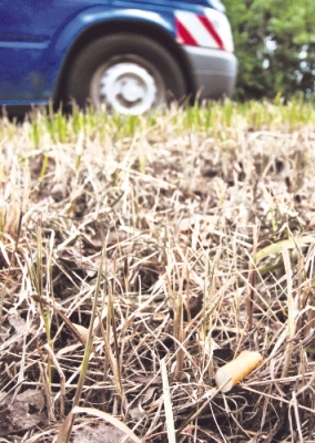 Grasnarbenbrände vermutlich durch Kippen ausgelöst