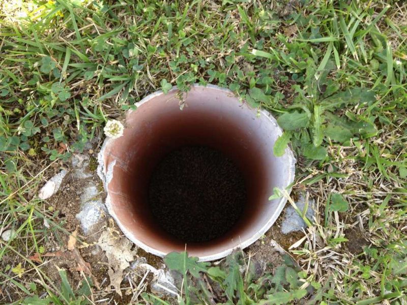 in diesem Rohr saß der Igel fest