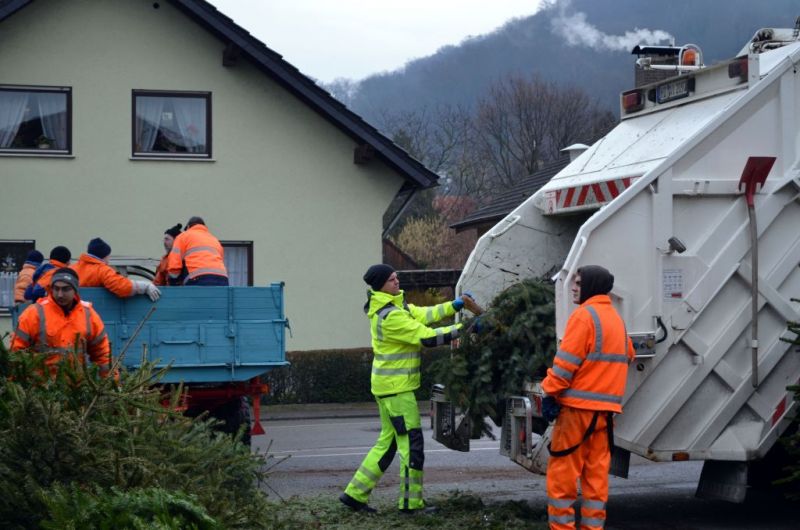 In Sulzbach werden die Bäume von der AVR entsorgt