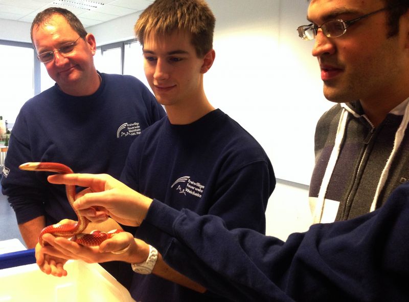 Keine Angst vor Schlangen - aber den nötigen Respekt