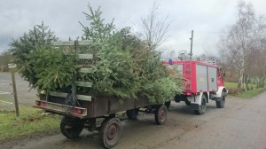 christbaumaktion_jf