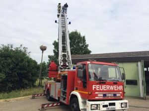 11427193_920179764690565_7131012316715003631_n