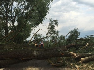 Unwetter_Weidsiedlung