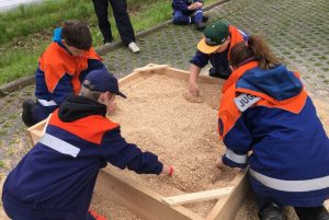 Bild5