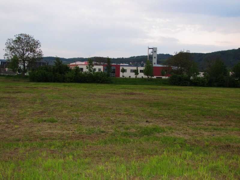 Diese Wiese wird bald mit Leben gefüllt