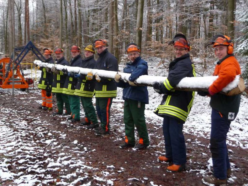 Holz unter Spannung