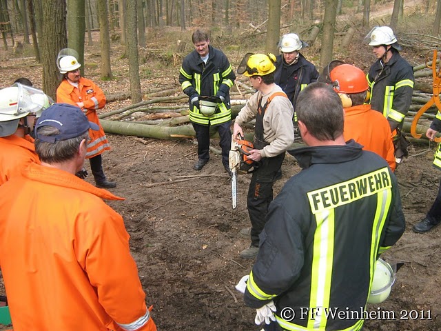 Fälltechnik in Oberflockenbach