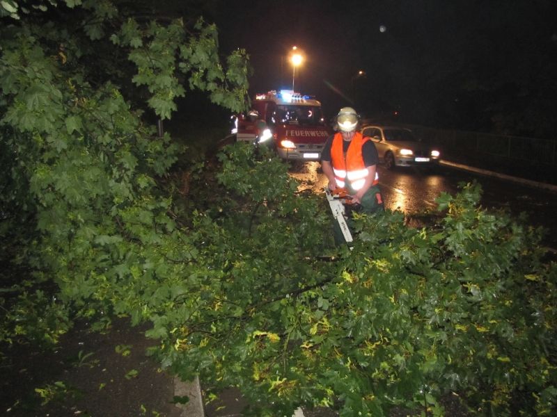 Baum blockiert Birkenauer Talstraße
