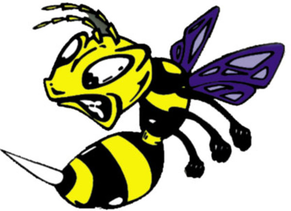 Feuerwehr ist nicht für Wespen zuständig