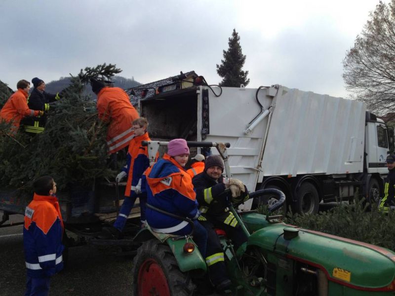 Christbaum Sammelaktion 2013