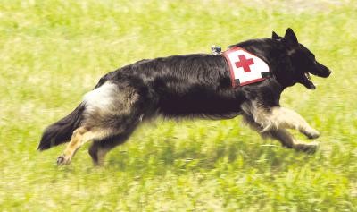 Familienfest im Schloßpark