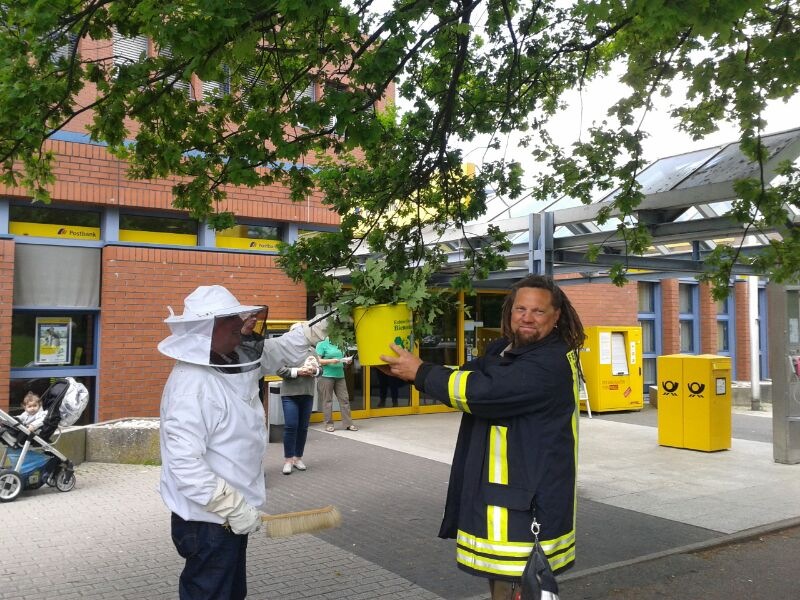 Bienenschwarm und brennender Toaster