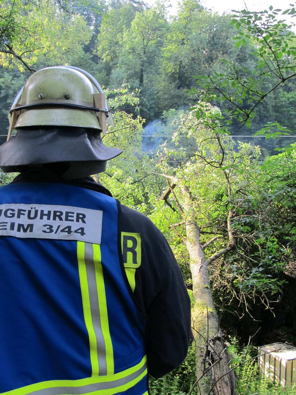 Umgestürzter Baum sorgt für Stromausfall im Odenwald