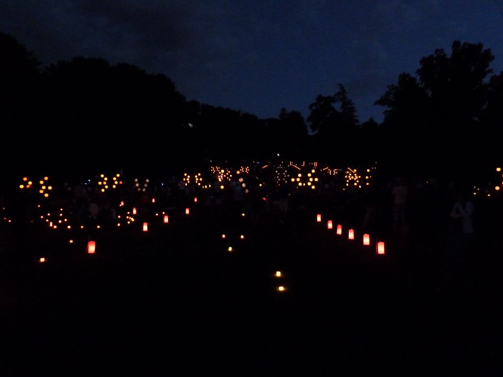 Erfolgreiche Schloßpark-Illumination