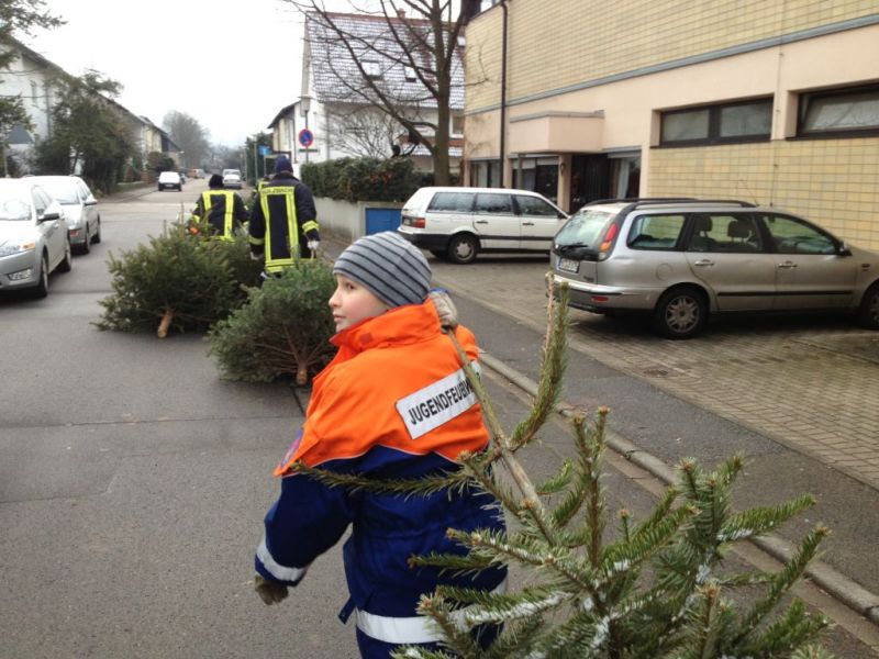 Christbaum Aktion 2014