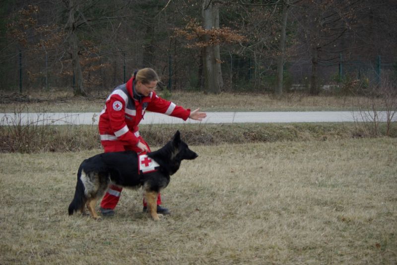 Schnupperkurs der Rettungshundestaffel