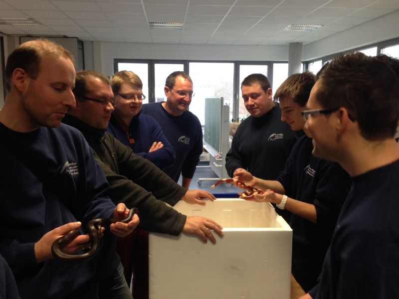 Volker Pfenning hielt Vortrag über Schlangen