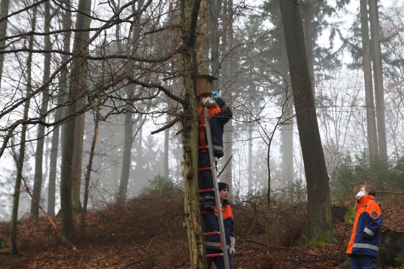 Nistkästen Aktion der Jugendfeuerwehr Oberflockenbach