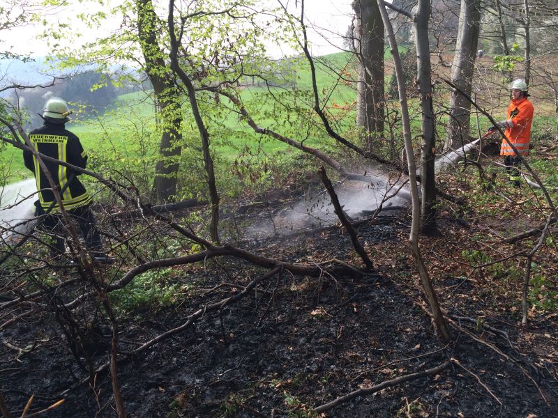 Waldbrand zwischen Oberflockenbach und Ritschweier