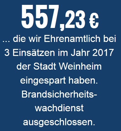 Freiwillige Feuerwehr Weinheim Personalaufwand in Zahlen